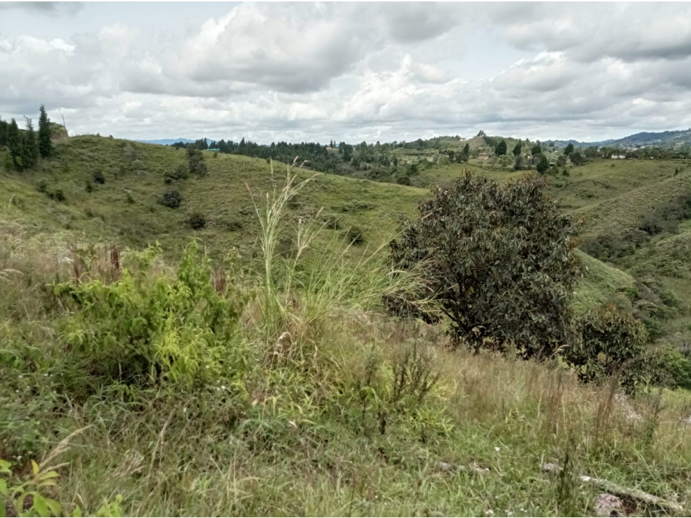 Lote en Venta Ubicado en Nuevo Proyecto en Parcelación Guarne — foto 5