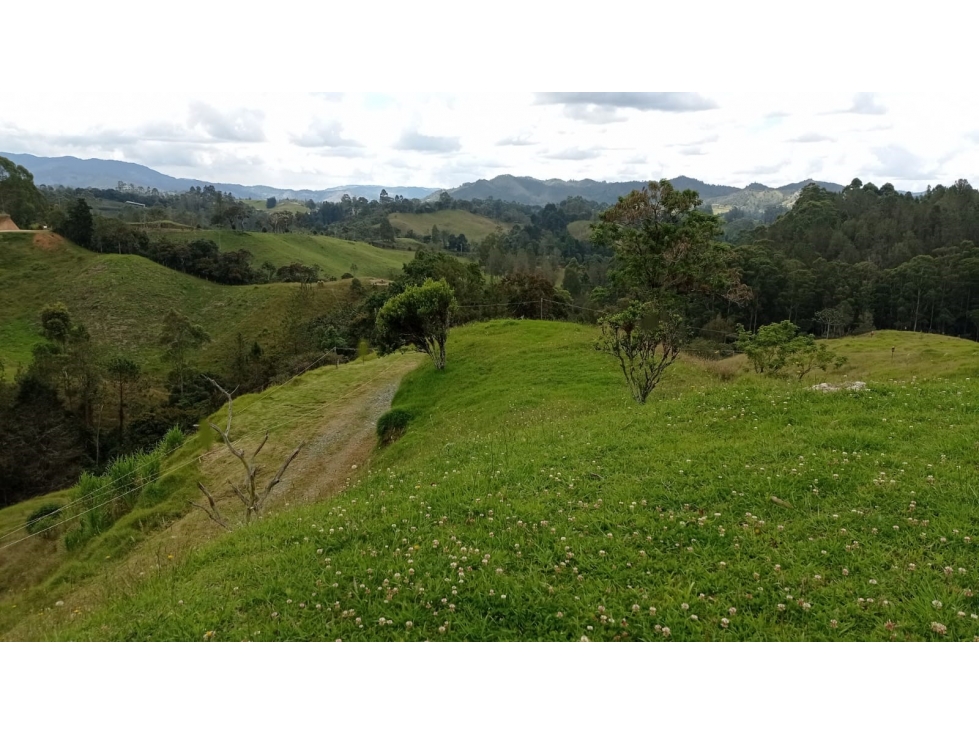 Lote en Venta en Parcelación Nueva Sector Pantanillo en El Retiro — foto 6