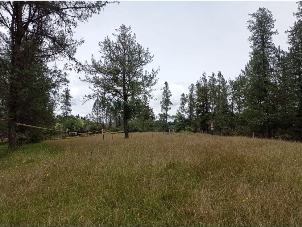En Venta Lote en Hermosa Parcelación en el Retiro,Sector Pantanillo — foto 6