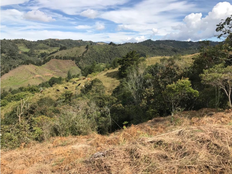 Lote en Venta con Hermosa Vista en Guarne, Vereda la Honda — foto 2