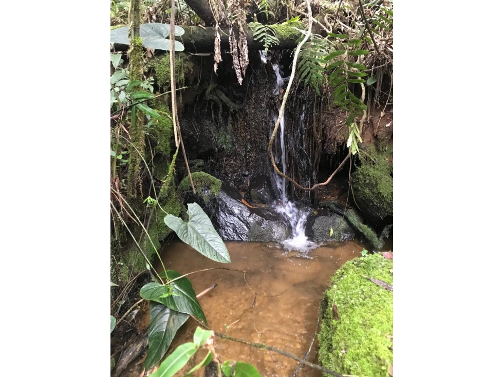 Lote en Venta Independiente en Guarne Vereda la Honda — foto 4