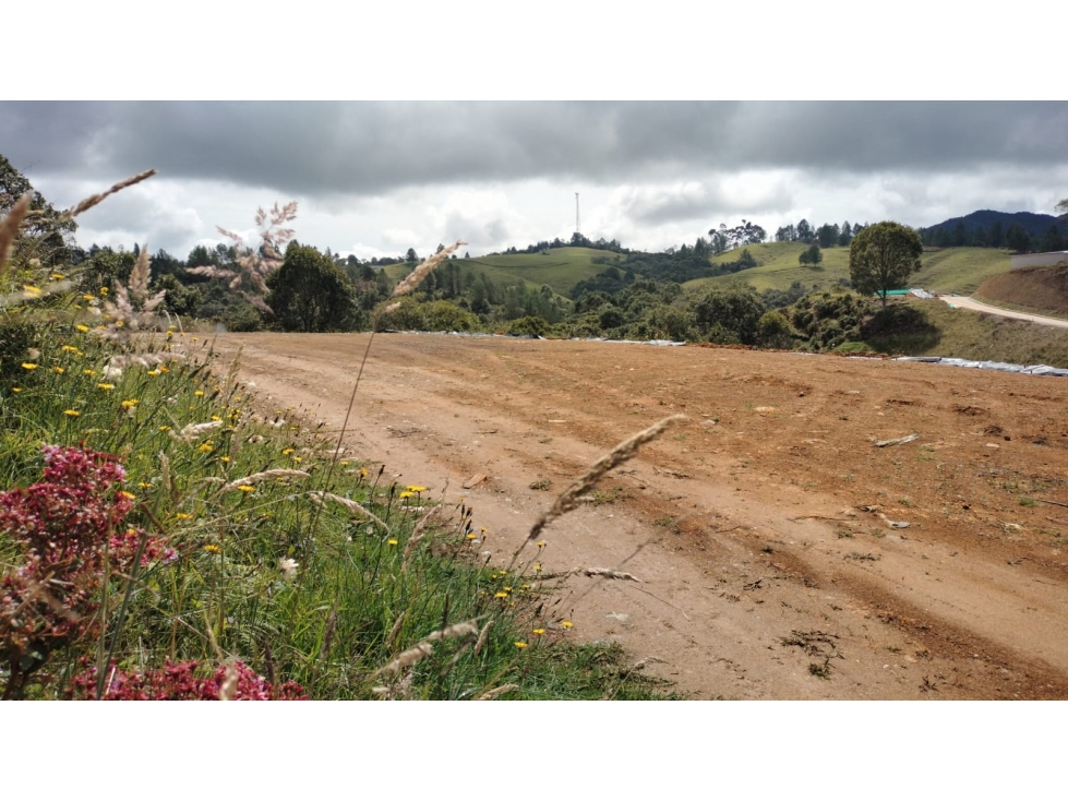 Lote Rodeado de Naturaleza en Venta Sector Alto de las Palmas — foto 4
