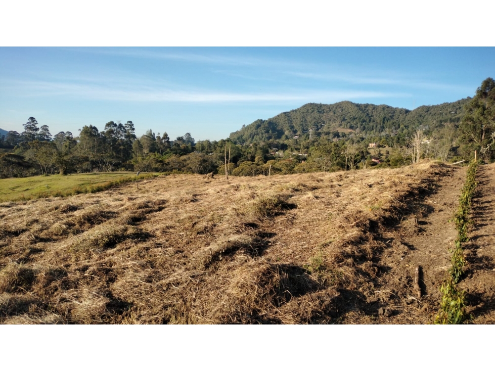 Lote en Venta en Parcelación, Sector Yarumo, la Ceja