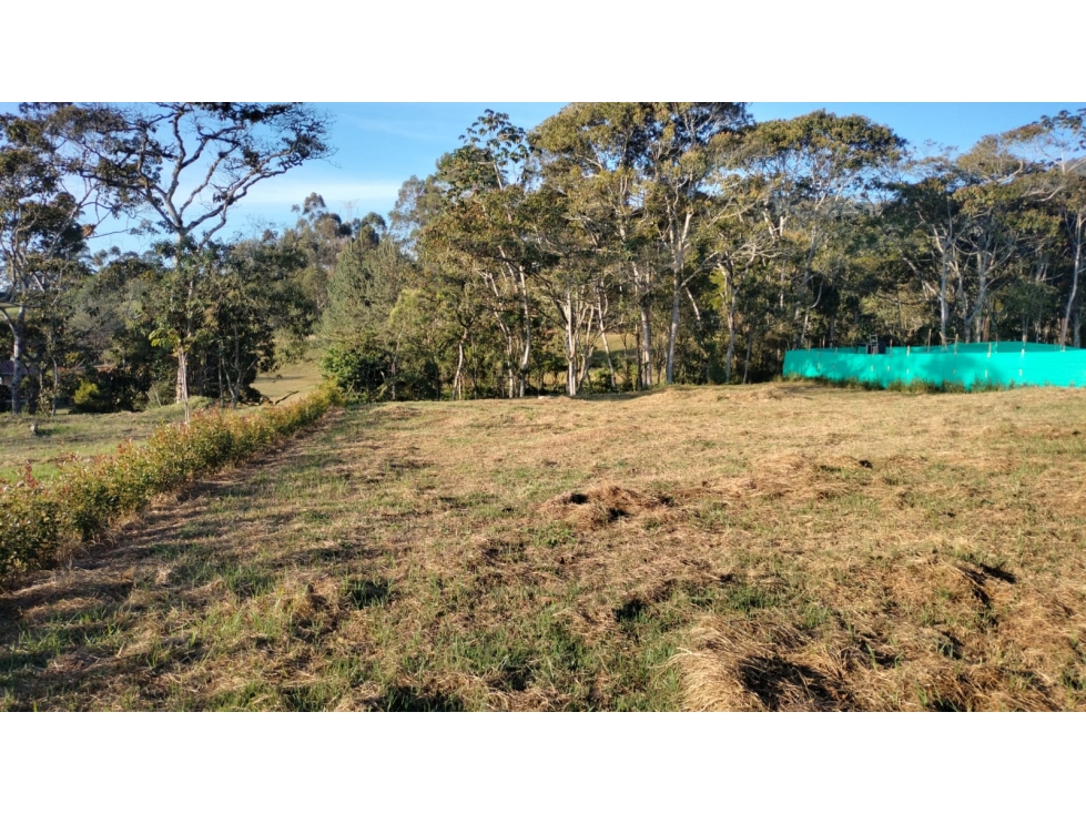 Lote con Topografía Plana Listo para Entrega en la Ceja — foto 6