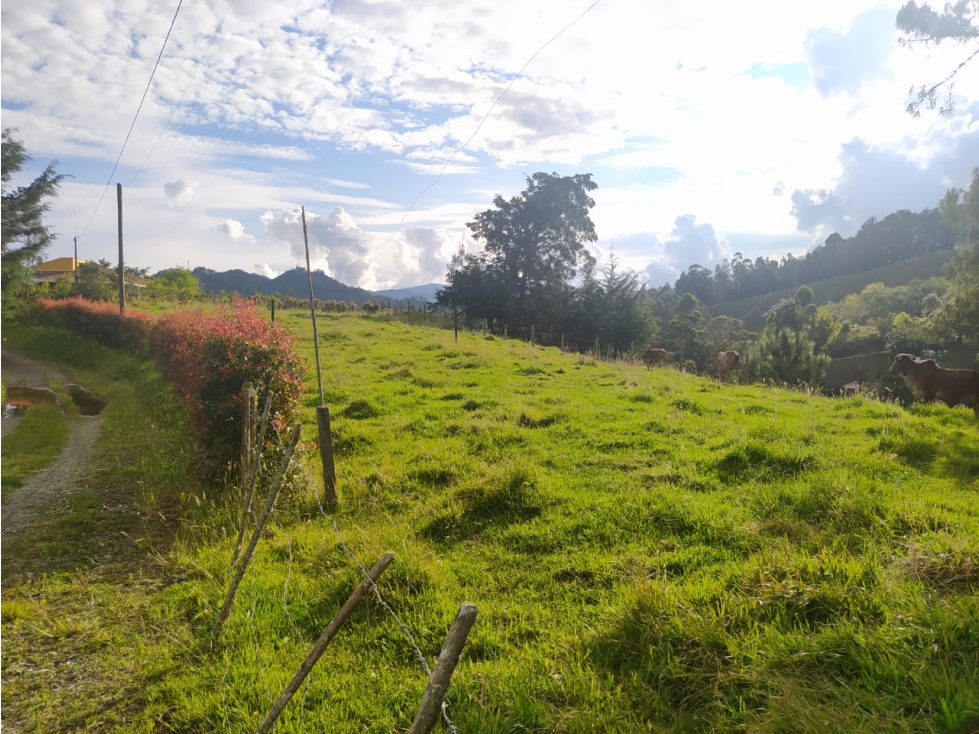 Lote en Venta Vereda El Portento en El Retiro - 4