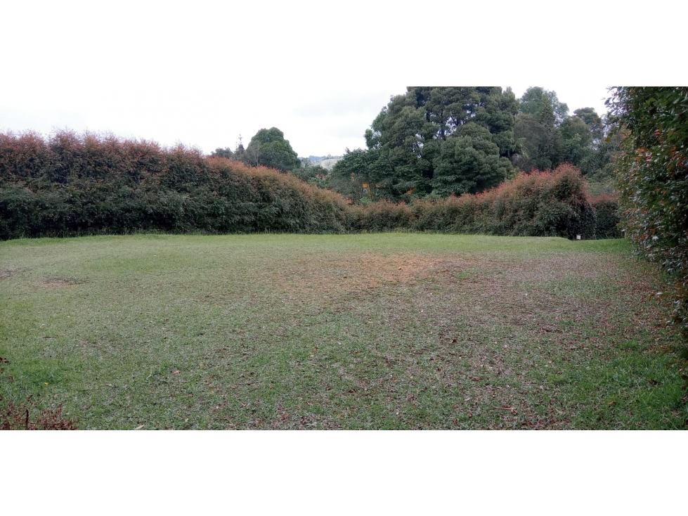 Lote en Venta Sector Variante Palmas, Envigado