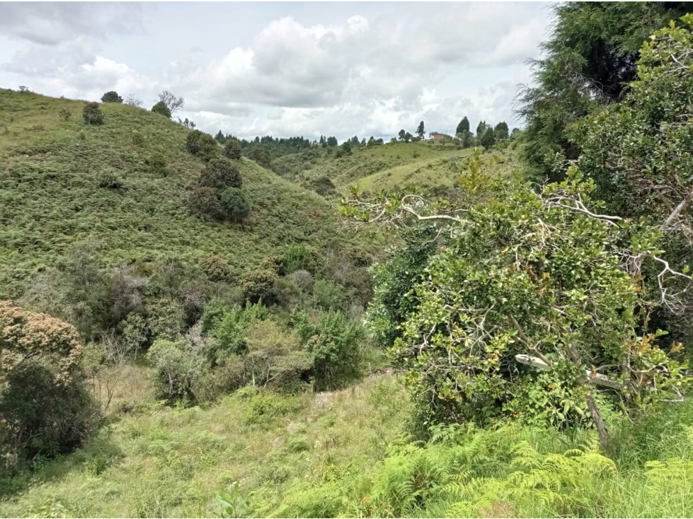 Lote en Venta Ubicado en Nuevo Proyecto en Parcelación Guarne — foto 6