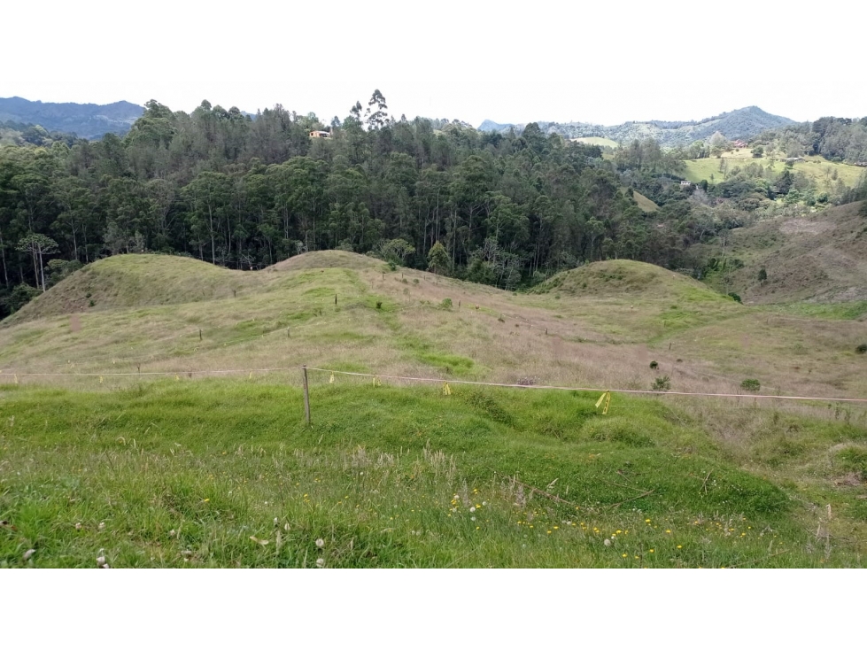 Lote en Venta Sector Pantanillo Parcelación Nueva en el Retiro — foto 4