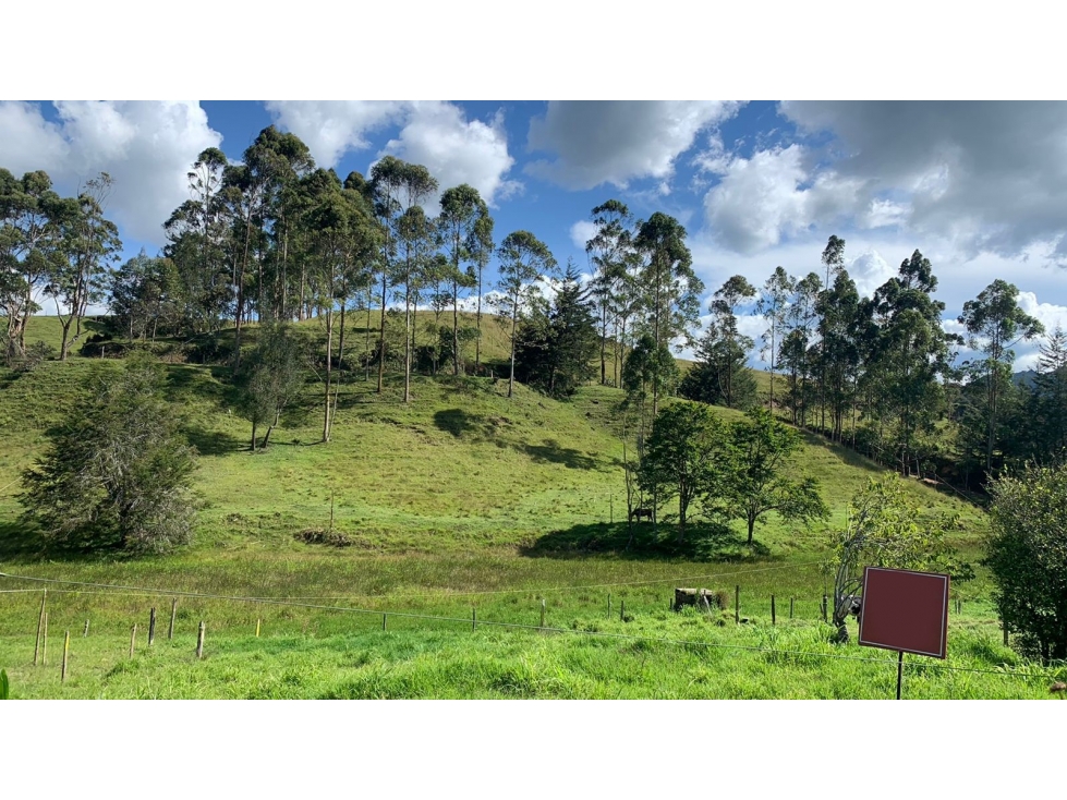 Lote en Venta Vía San Antonio La Ceja en Parcelación Nueva — foto 2