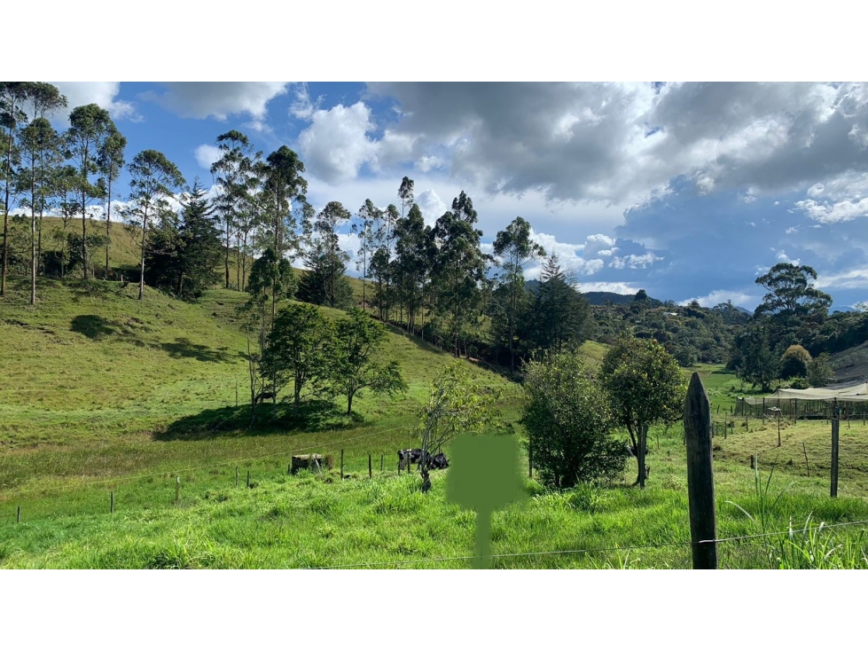Lote en Venta Vía San Antonio La Ceja en Parcelación — foto 3