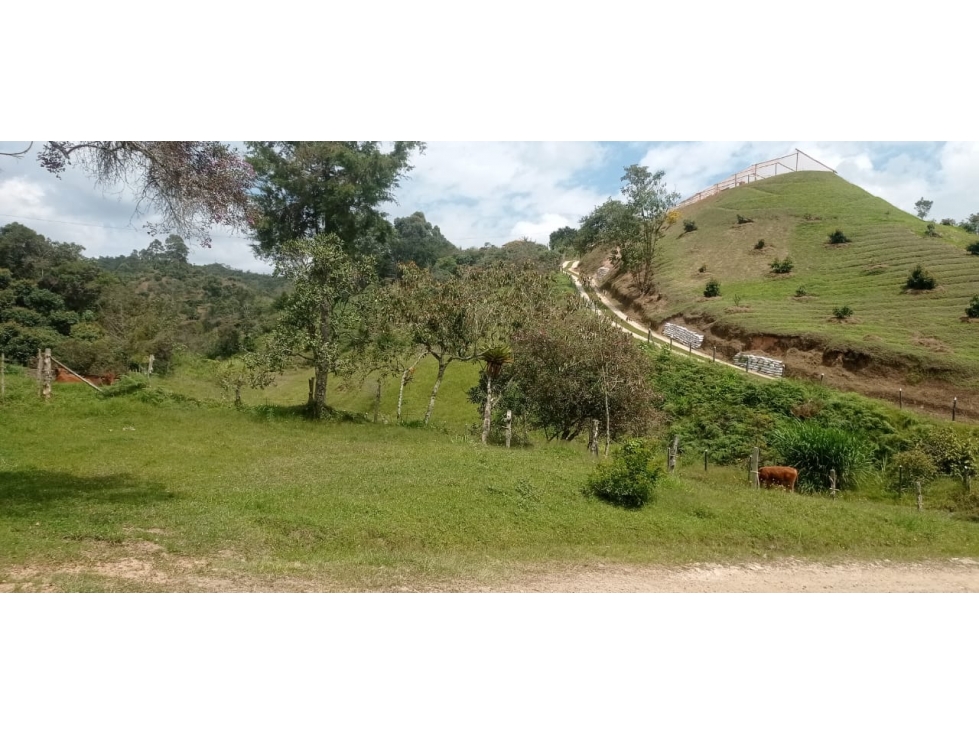 Hermoso Lote en Venta Sector Santa Ana - San Vicente — foto 4
