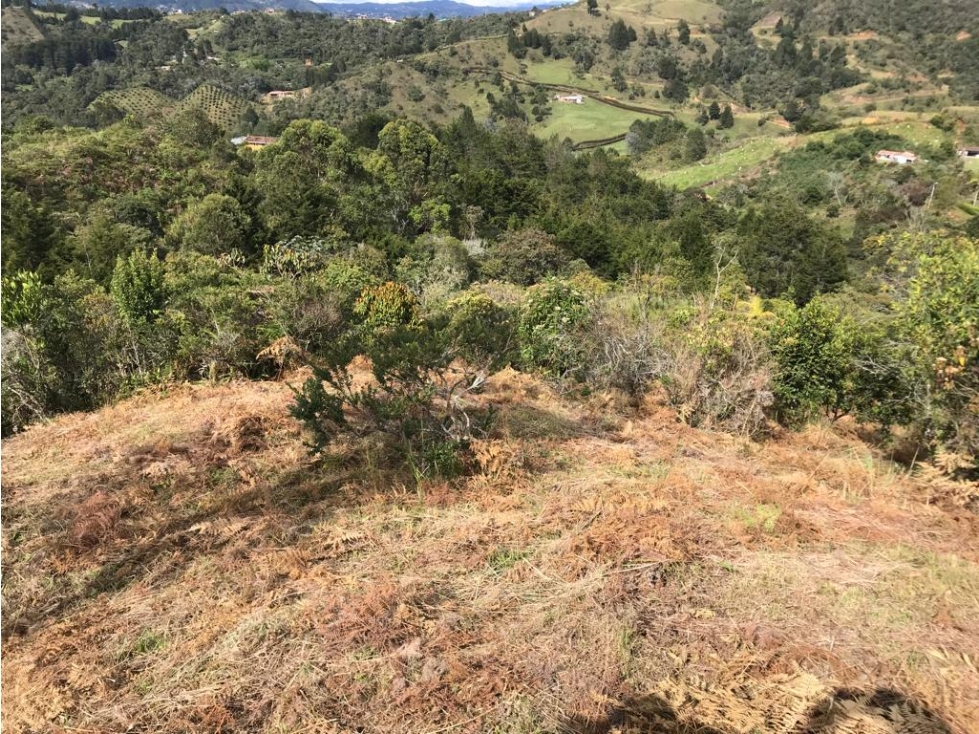 Lote en Venta con Paso de Agua, en Guarne, Vereda la Honda — foto 3