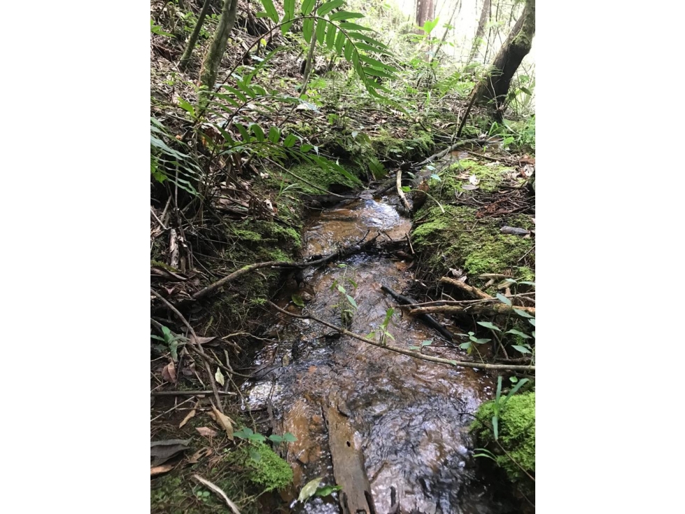 Lote en Venta Independiente en Guarne Vereda la Honda — foto 6