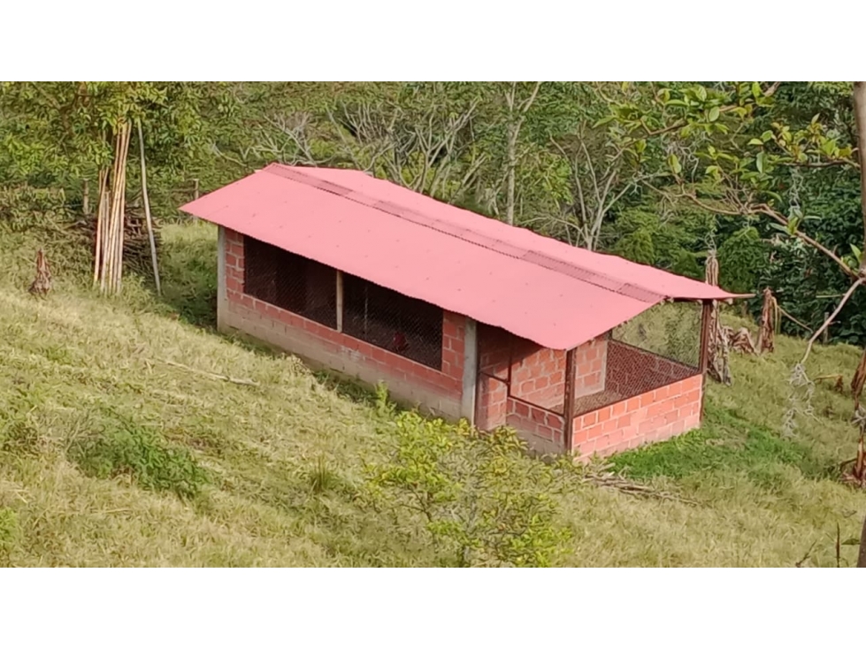 Finca en Venta en el Municipio de Filadelfia Caldas - 2