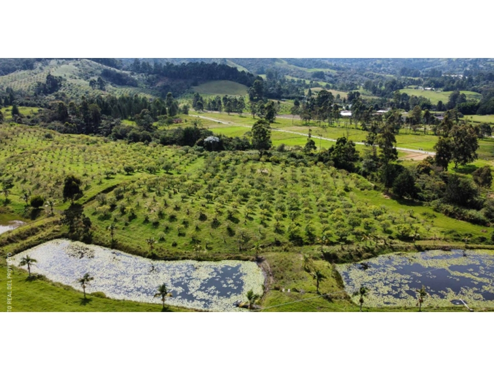 Lote en Unidad Cerrada Sector El Yarumo, La Ceja — foto 6