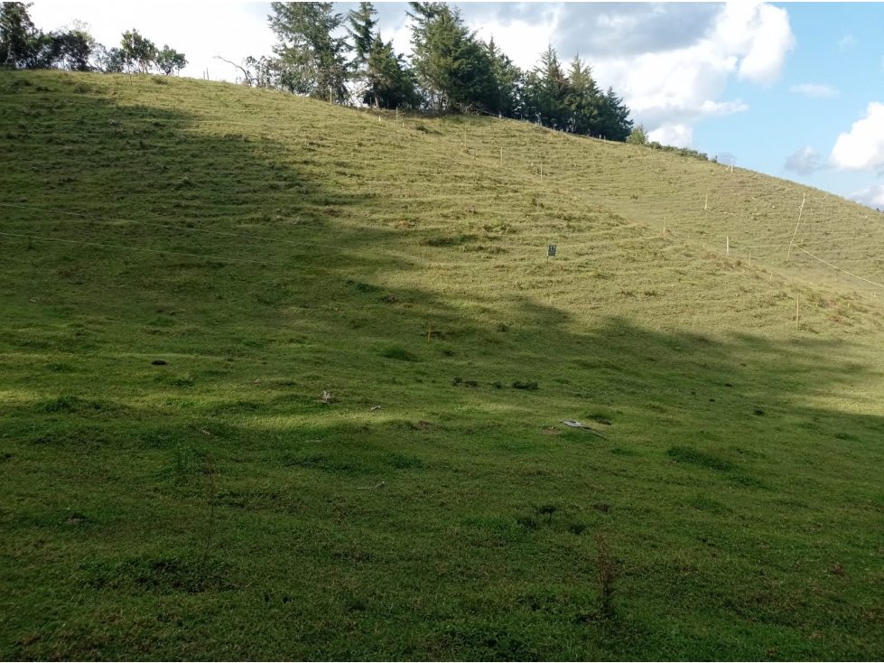 Lote en Venta en Exclusivo Proyecto, en el Retiro don Diego la Ceja