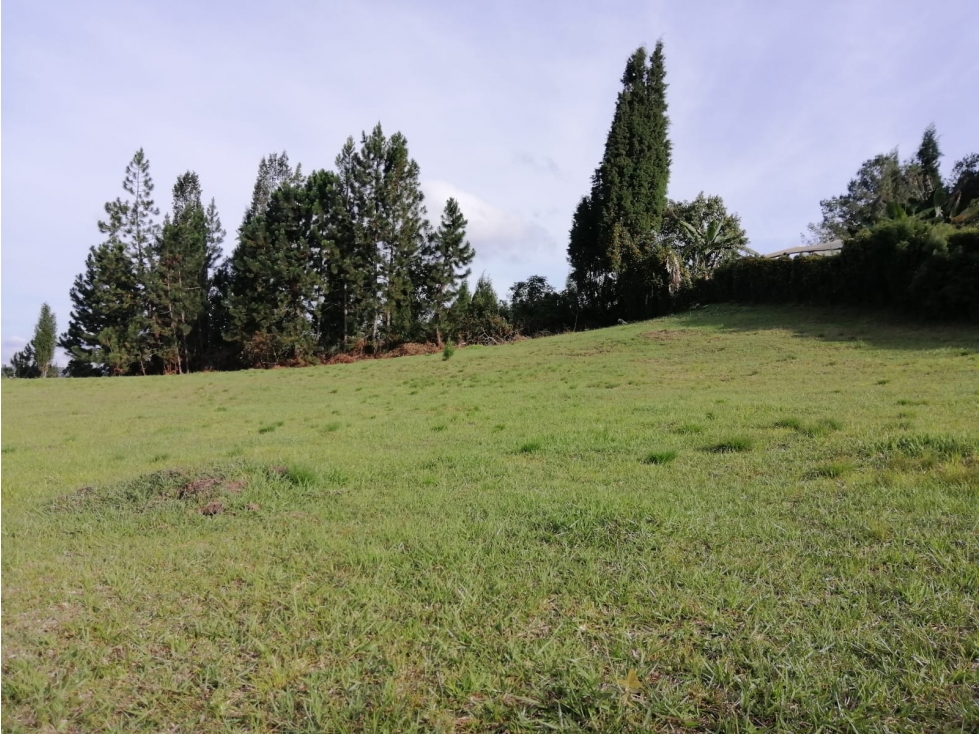 Lote en venta 2.600 m² Guarne | Diseña tu hogar a tu medida