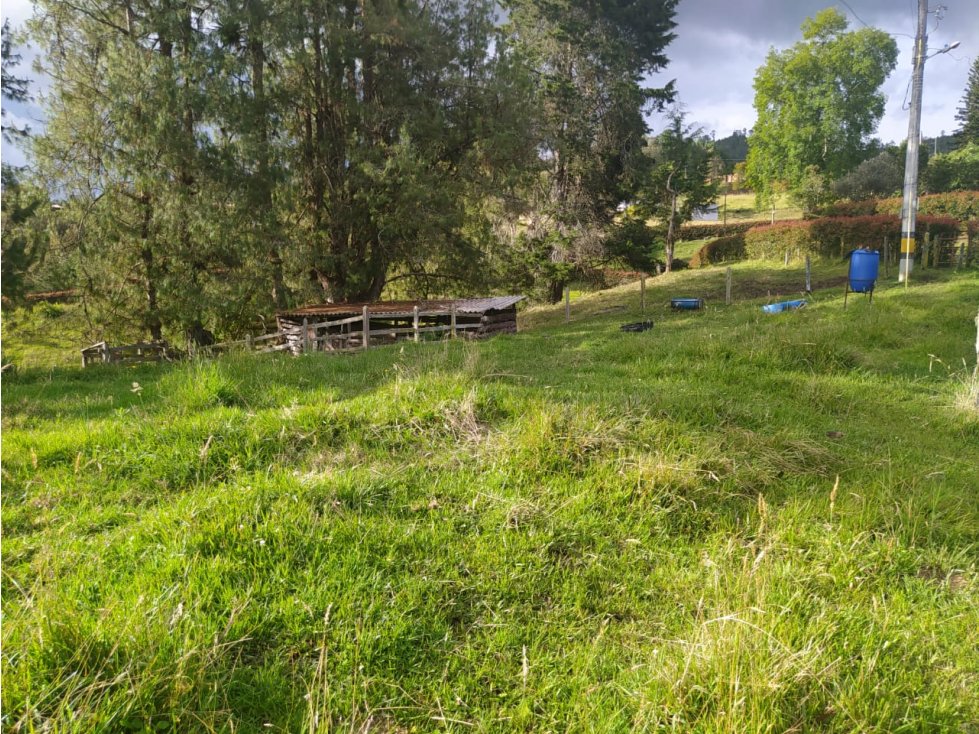 Lote en Venta Vereda El Portento en El Retiro - 5