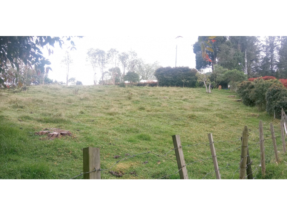 Lote en Venta en Alto de las Palmas Sector La Esperanza — foto 6