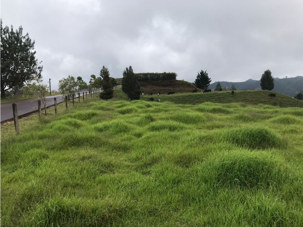Lote en Venta en el Sector Pantanillo El Retiro