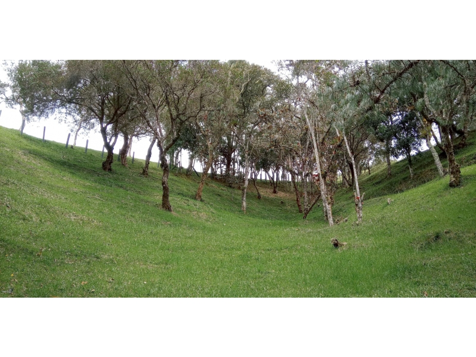 Lote en Venta en Las Palmas, Sector la Esperanza
