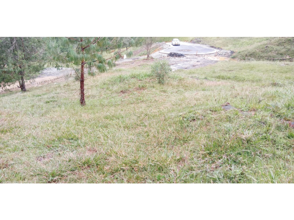 Lote en Venta Alto de las Palmas Sector el Silencio Envigado — foto 3