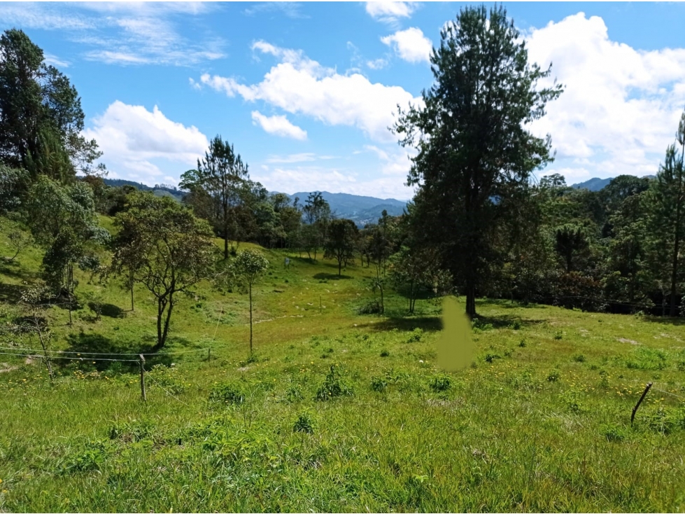Lote en Venta en Parcelación Nueva El Retiro Sector la Argentina — foto 2