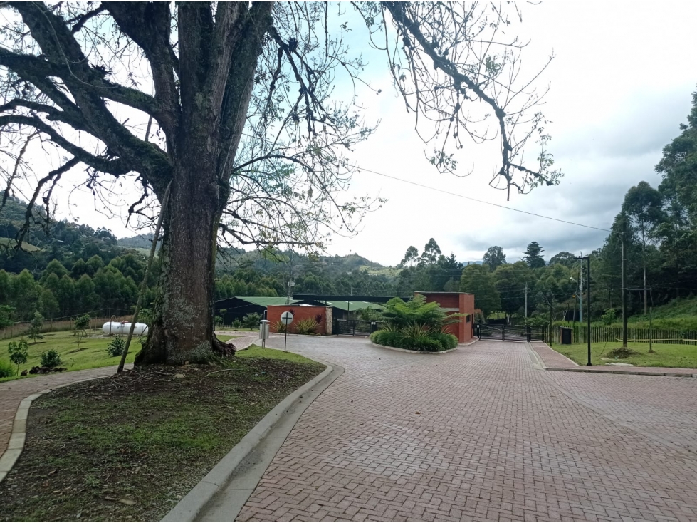 Lote en Venta Sector Don Diego - El Retiro