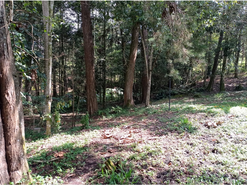 Lote en Venta Sector Llanogrande - Parcelación vía Don Diego — foto 2