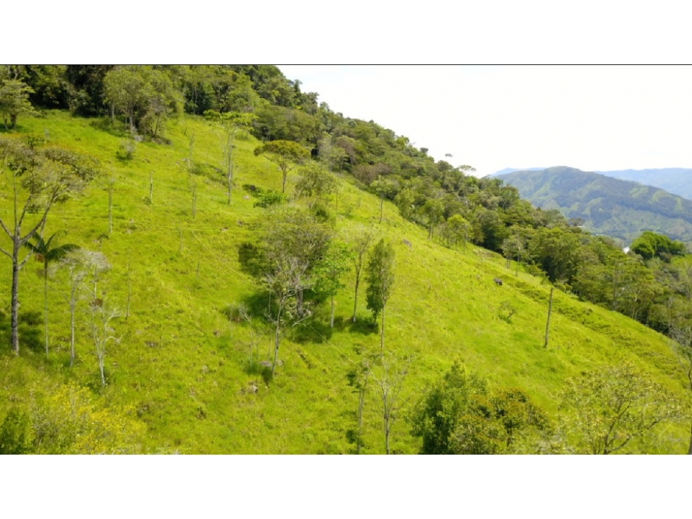 Lote en Venta en Eco Parcelación, en Porce Antioquia - 1