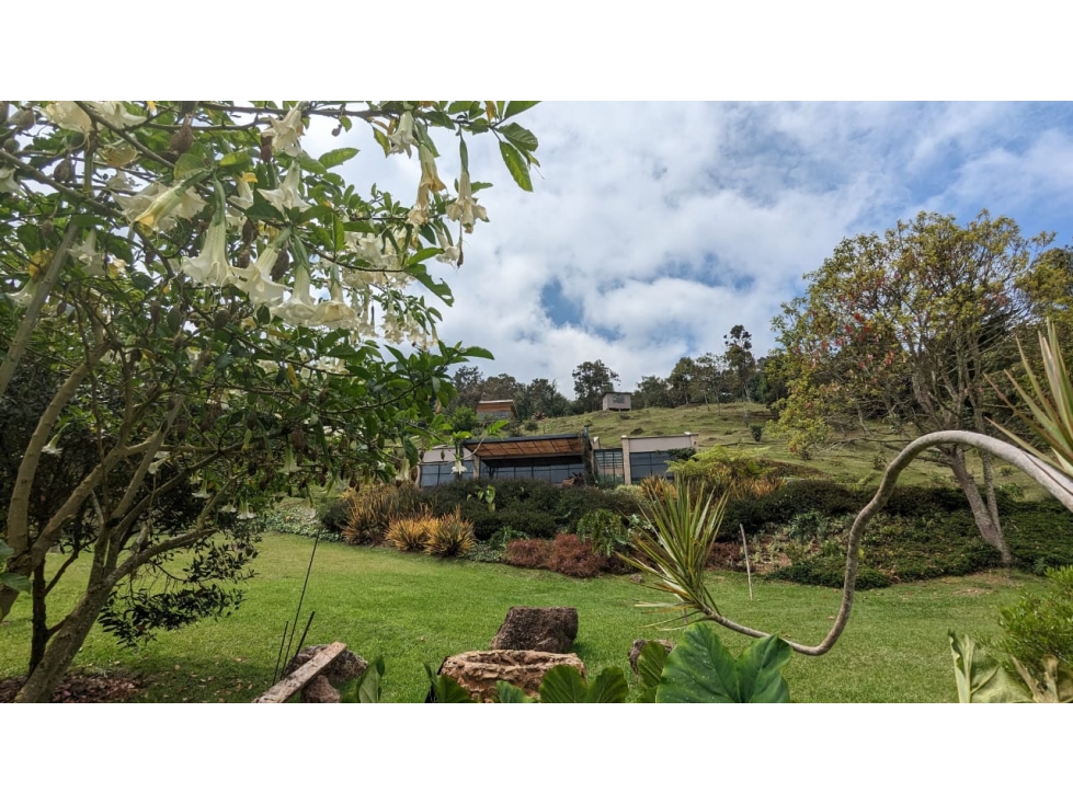 Casa Campestre en Venta, en Lote de 6.000mts2, La Ceja Altos del Tambo — foto 4