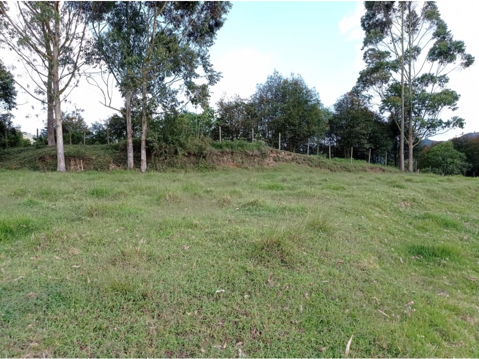 Lote en Venta en Nueva Parcelación en el Retiro, Sector El Chuscal — foto 3
