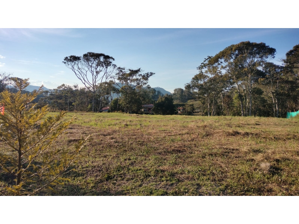 Lote con Topografía Plana Listo para Entrega en la Ceja — foto 4