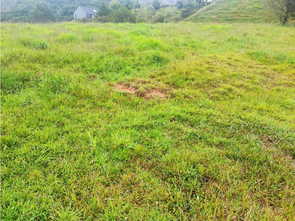 Lote en Venta El Retiro en Sector Pantanillo — foto 2