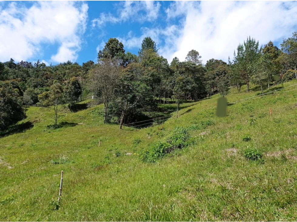 Hermoso Lote en El Retiro en Parcelación, Sector La Argentina