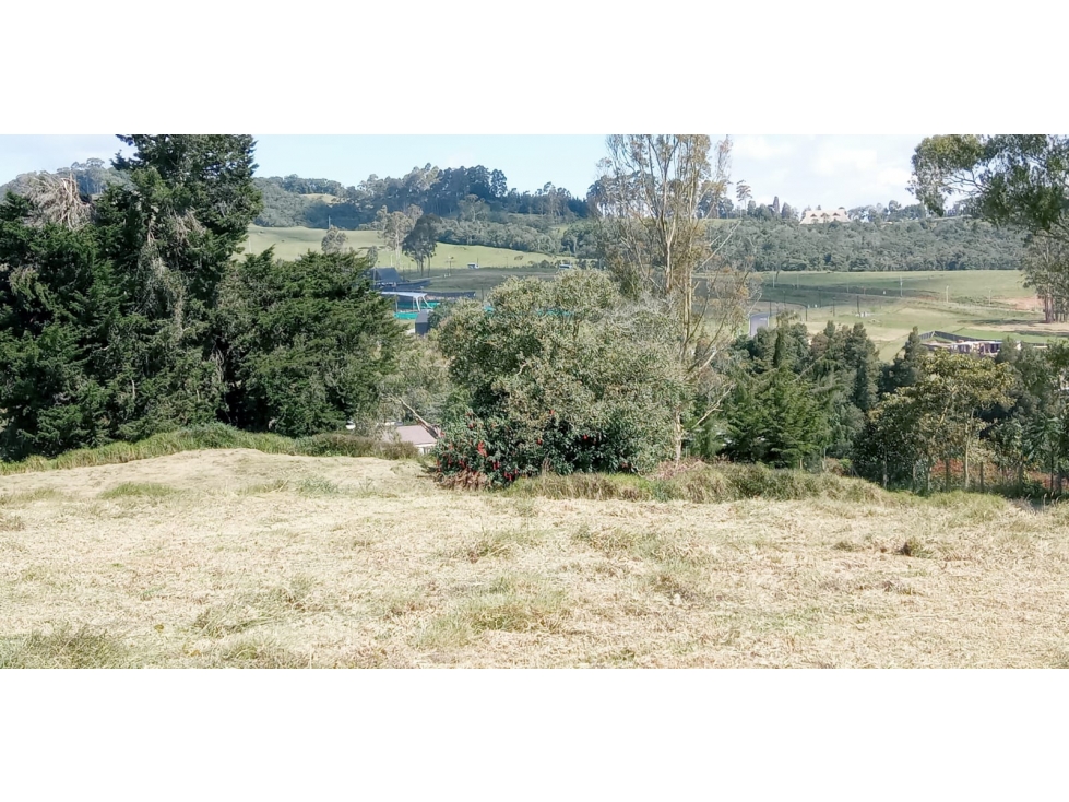 Lote en Venta Sector la Acuarela Alto de las Palmas, Envigado — foto 6