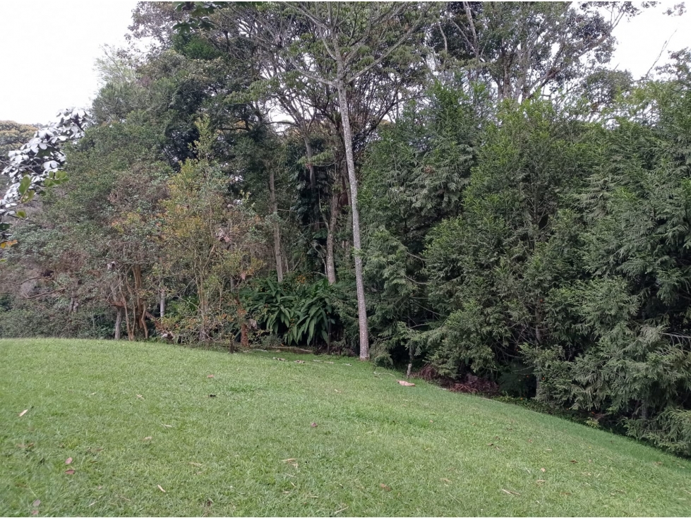 Lote en Venta Sector Llanogrande - Parcelación vía Don Diego — foto 4