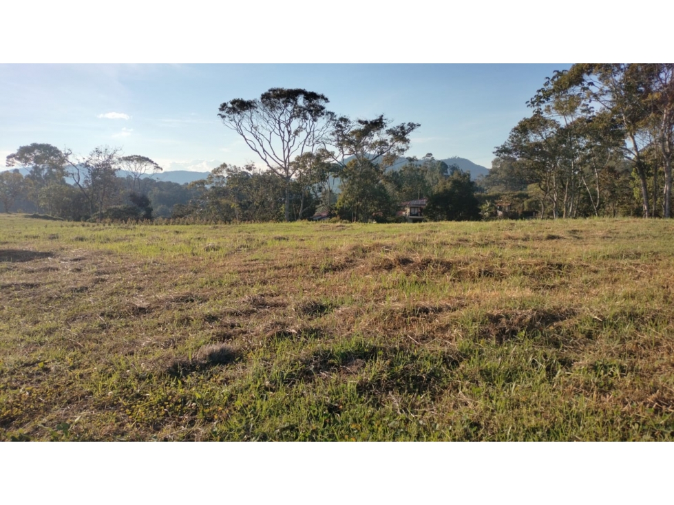 Lote con Topografía Plana Listo para Entrega en la Ceja — foto 5