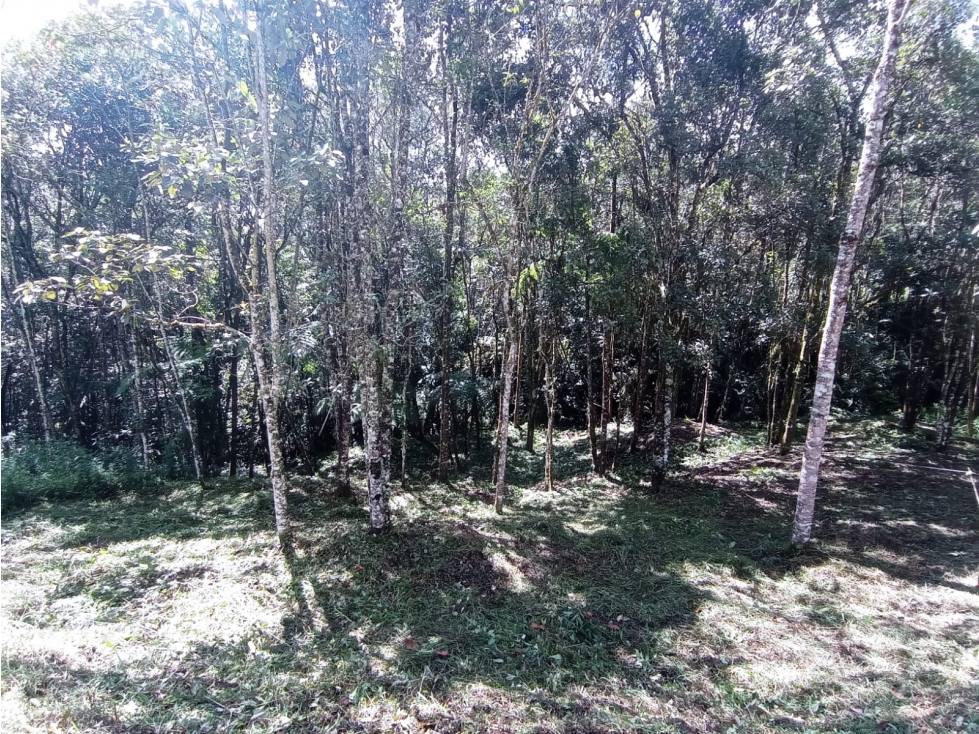 Lote en Venta en Parcelación Nueva El Retiro Sector la Argentina — foto 6