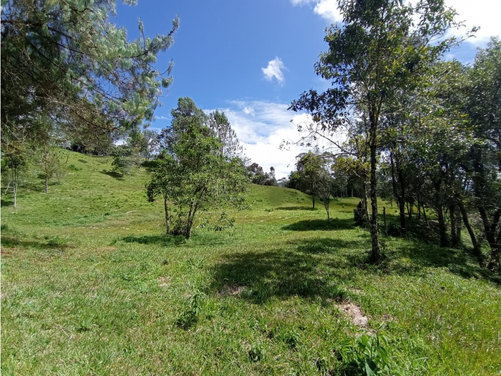 Hermoso Lote en El Retiro en Parcelación, Sector La Argentina — foto 3