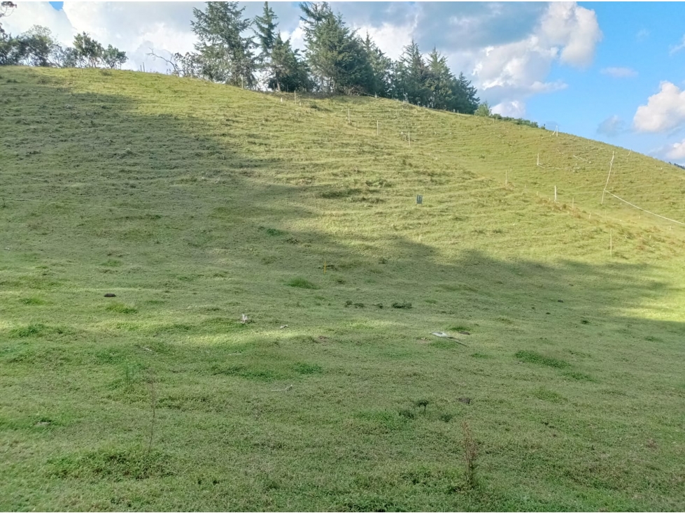 Lote en Venta en Nueva Parcelación en el Retiro, Sector El Chuscal — foto 4