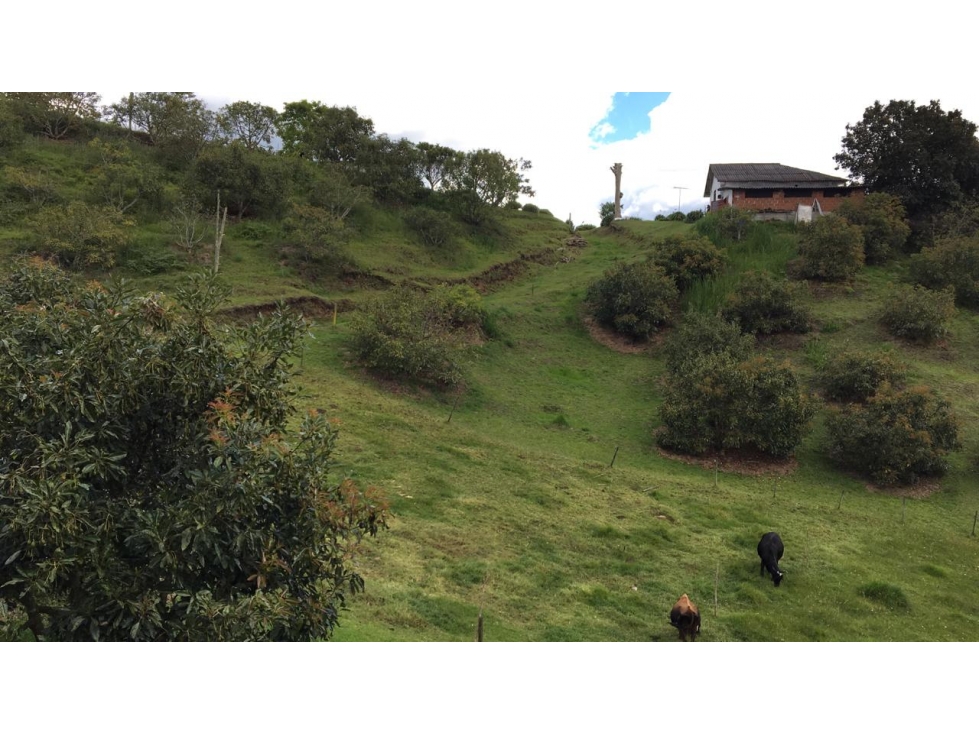 Finca con Posibilidad de Parcelar en Venta sector Pantanillo El Retiro - 6