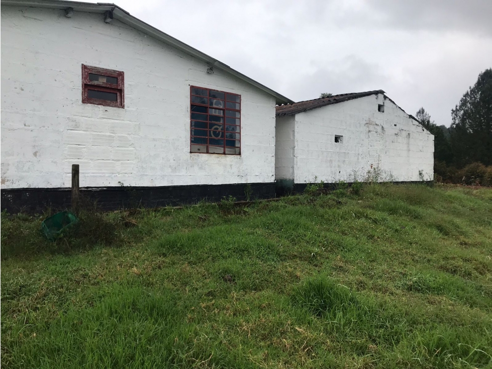Lote en Venta Sector Pantanillo El Retiro — foto 5