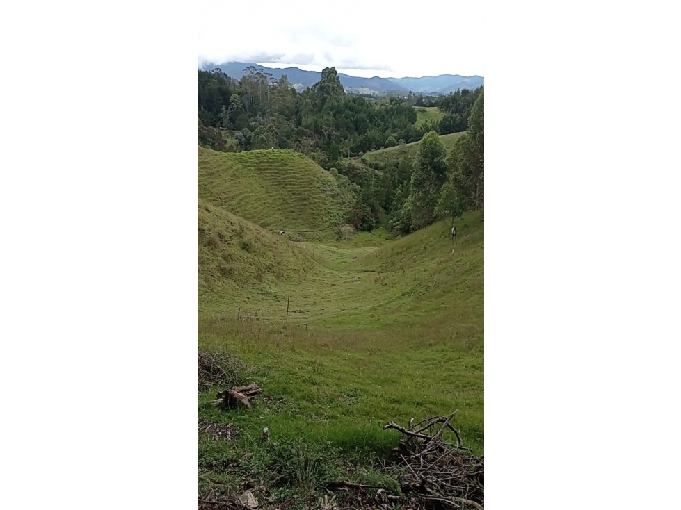 Lote en Venta en Parcelación Vía el Retiro - La Ceja Vereda Pantanillo — foto 2