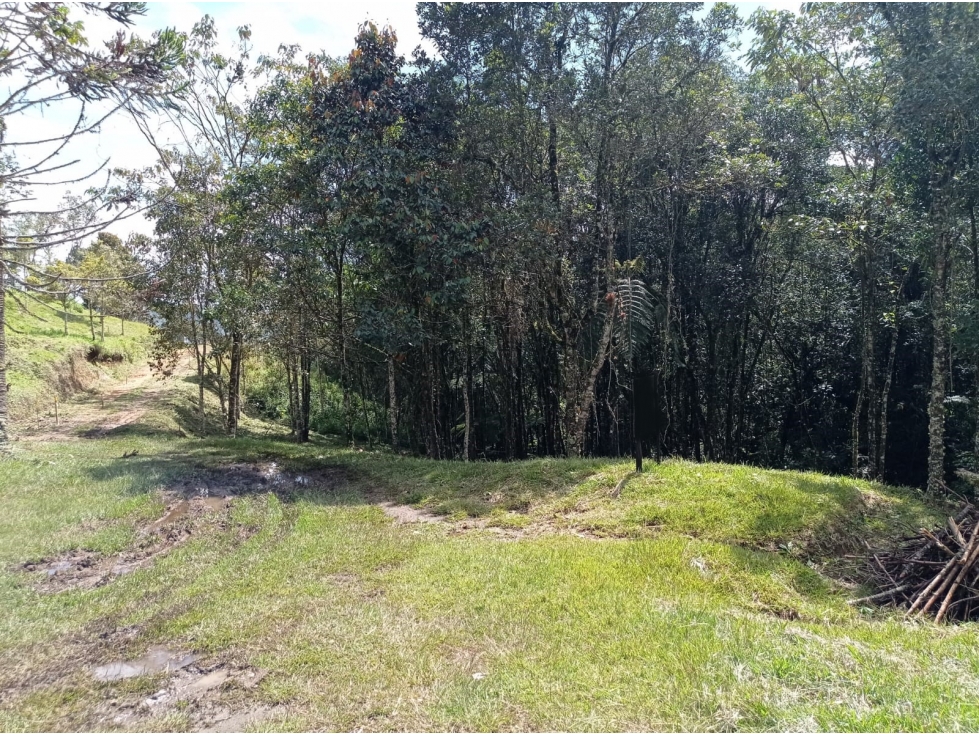 Lote en Venta en Parcelación Nueva El Retiro Sector Paso del Toro — foto 5