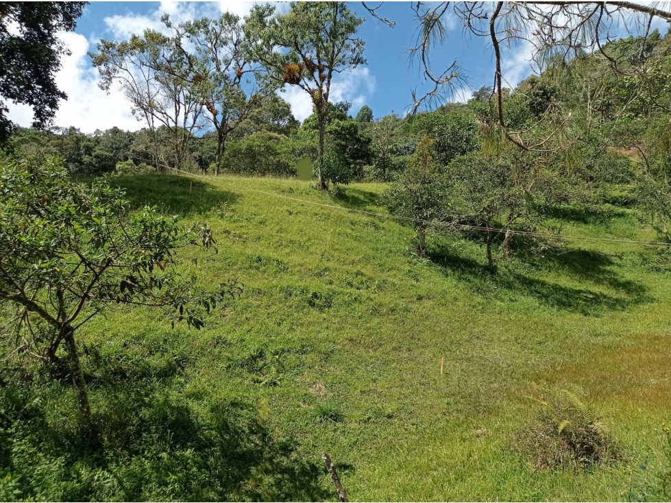 Hermoso Lote en El Retiro en Parcelación, Sector La Argentina — foto 4