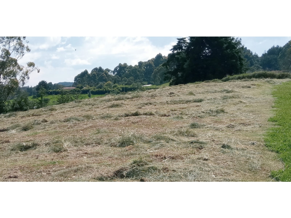Lote en Venta Sector la Acuarela Alto de las Palmas, Envigado — foto 2