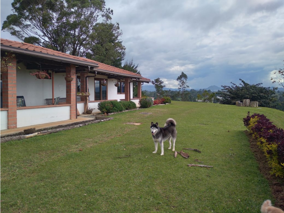 Casa en Venta, sector Cascajo Abajo, Rionegro — foto 4