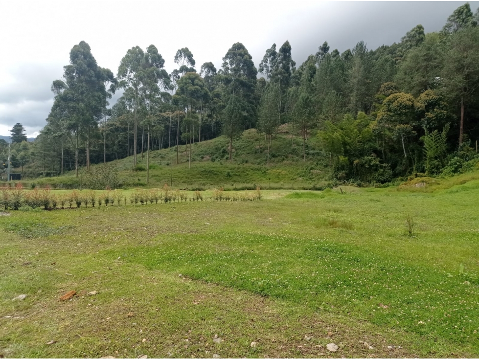 Lote en Venta Sector Don Diego - El Retiro