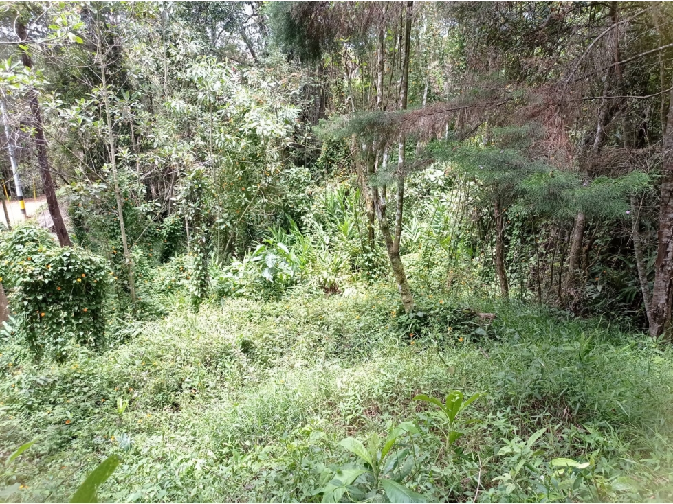 Lote en Venta Independiente en Guarne Vereda la Honda